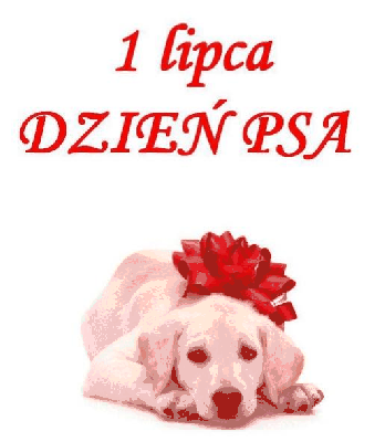 Piesek labrador i napis 1 lipca Dzień Psa